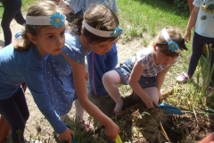 Dzien-niezapominajki-4