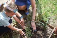 Dzien-niezapominajki-6