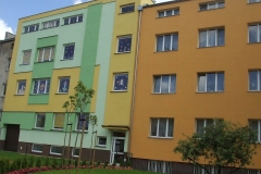 Dzien-niezapominajki-9