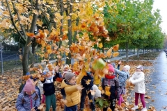 571138882_1120081220113547_6598594480825285048_n