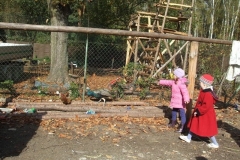 Klimkowa-osada-13.10-8