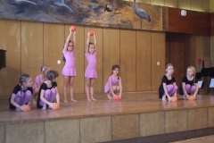 KONCERT-MUZYCZNY-pt.-W-KOLEI-ZESPOLE-3.11-1