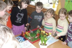 Konkurs-album-przyrodniczy-07.03-6