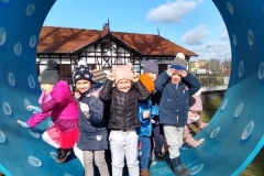 Motylki-na-spacerze-4