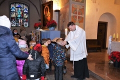 Nawiedzenie-Matki-Bozej-w-kopii-cudownego-obrazu-18