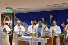 Peregrynacja-obrazu-Matki-Bozej-Jasnogorskiej-4