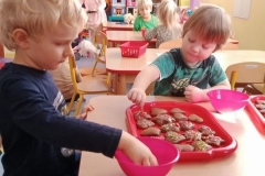 Promyczki-pieka-pierniczki-4