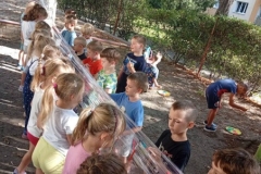 544461557_1081269397328063_3127448689969642664_n