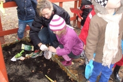 Sadzimy cebulki kwiatów - 23.10