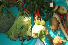 Warzywne-stworki-18.09-2