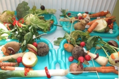 Warzywne-stworki-18.09-24