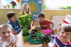 Wiosenne-kwiaty-3.04-1