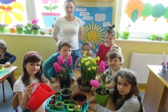 Wiosenne-kwiaty-3.04-2