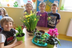 Wiosenne-kwiaty-3.04-5