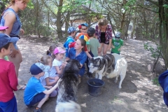 Wycieczka-do-Bolechowka-grupa-Sloneczka-i-Boze-Duszki-11.05-19