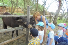 Wycieczka-do-Bolechowka-grupa-Sloneczka-i-Boze-Duszki-11.05-20
