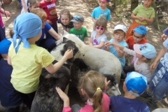 Wycieczka-do-Bolechowka-grupa-Sloneczka-i-Boze-Duszki-11.05-3