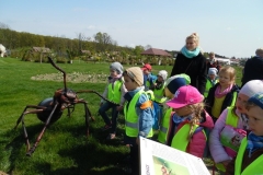 Wycieczka-do-Deli-Parku-grupa-Aniolki-11.-05-10