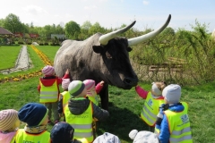 Wycieczka-do-Deli-Parku-grupa-Boze-Duszki-11.05-1