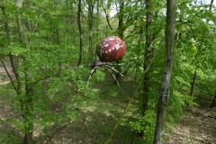 Wycieczka-do-Deli-Parku-grupa-Promyczki-11.05-10