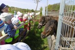 Wycieczka-do-Deli-Parku-grupa-Promyczki-11.05-14