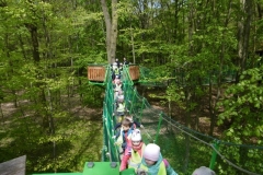 Wycieczka-do-Deli-Parku-grupa-Promyczki-11.05-19