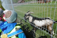 Wycieczka-do-Deli-Parku-grupa-Promyczki-11.05-25