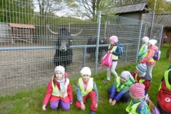 Wycieczka-do-Deli-Parku-grupa-Promyczki-11.05-35