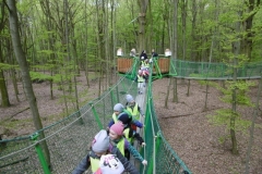 Wycieczka-do-Deli-Parku-grupa-Promyczki-11.05-39