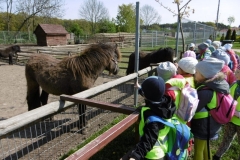 Wycieczka-do-Deli-Parku-grupa-Promyczki-11.05-46