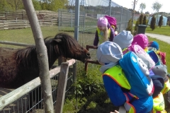 Wycieczka-do-Deli-Parku-grupa-Sloneczka-11.05-17