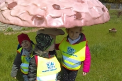 Wycieczka-do-Deli-Parku-grupa-Sloneczka-11.05-9