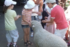 Wycieczka-do-Kluczewa-31.05-17