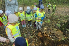 Wycieczka-do-lasu-Aniolki-11.10-10
