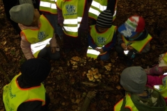 Wycieczka-do-lasu-Aniolki-11.10-3