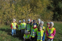 Wycieczka-do-lasu-Aniolki-11.10-5