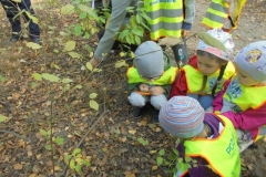 Wycieczka-do-lasu-Aniolki-11.10-8