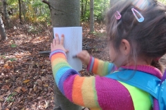 Wycieczka-do-lasu-Boze-Duszki-11.10-1