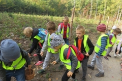 Wycieczka-do-lasu-Boze-Duszki-11.10-13