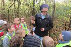 Wycieczka-do-lasu-Boze-Duszki-11.10-15