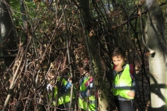 Wycieczka-do-lasu-Boze-Duszki-11.10-16