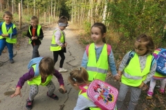 Wycieczka-do-lasu-Boze-Duszki-11.10-17