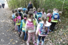 Wycieczka do lasu Słoneczka - 11.10