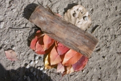 Wycieczka-do-lasu-Sloneczka-11.10-12