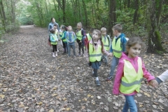 Wycieczka-do-lasu-Sloneczka-11.10-3