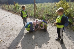 Wycieczka-do-lasu-Sloneczka-11.10-5