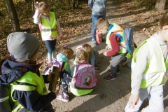 Wycieczka-do-lasu-Sloneczka-11.10-8