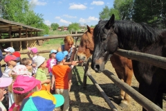 Wycieczka-do-Osady-Traperskiej-w-Bolechowku-grupa-Promyczki-i-Aniolki-11.05-25