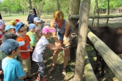 Wycieczka-do-Osady-Traperskiej-w-Bolechowku-grupa-Promyczki-i-Aniolki-11.05-4