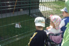 Wycieczka-do-Owinsk-dzieci-3-letnich-11